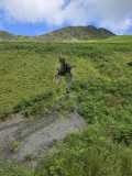 IMG-20260817-WA0014