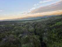 IMG-20260817-WA0021