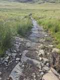 IMG-20260817-WA0026