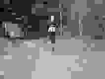 418268092_10233084204710586_2737735722406470061_n