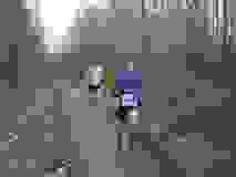 418450956_10233084197830414_91362985483675096_n