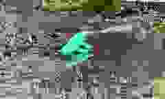424982839_10233311436591241_3135436442206237175_n