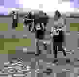 425023244_10233311444271433_2211404493324828980_n
