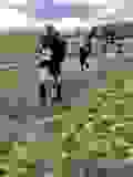 425276572_10233311450191581_7567953546736755798_n