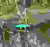 425288453_10233311436351235_5726281802350767983_n
