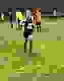 425313220_10233311447471513_2095872897892767660_n