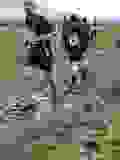 425420239_10233311438351285_6813459027048598779_n
