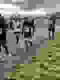 428487024_10233311445791471_8592747869002880516_n