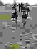 428502624_10233311437511264_8295582026586423160_n
