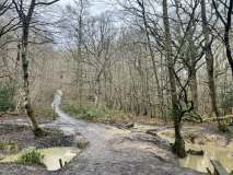 481180966_10161472337677449_5585793746456092822_n