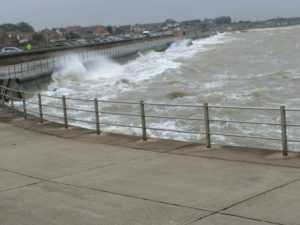 Read more about the article Harriers Make A Splash At Minnis Bay