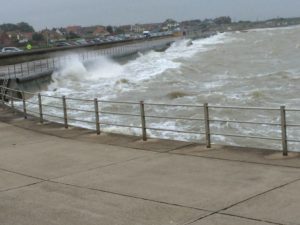 Read more about the article Harriers Make A Splash At Minnis Bay